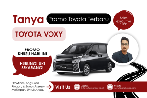 ALL NEW VOXY